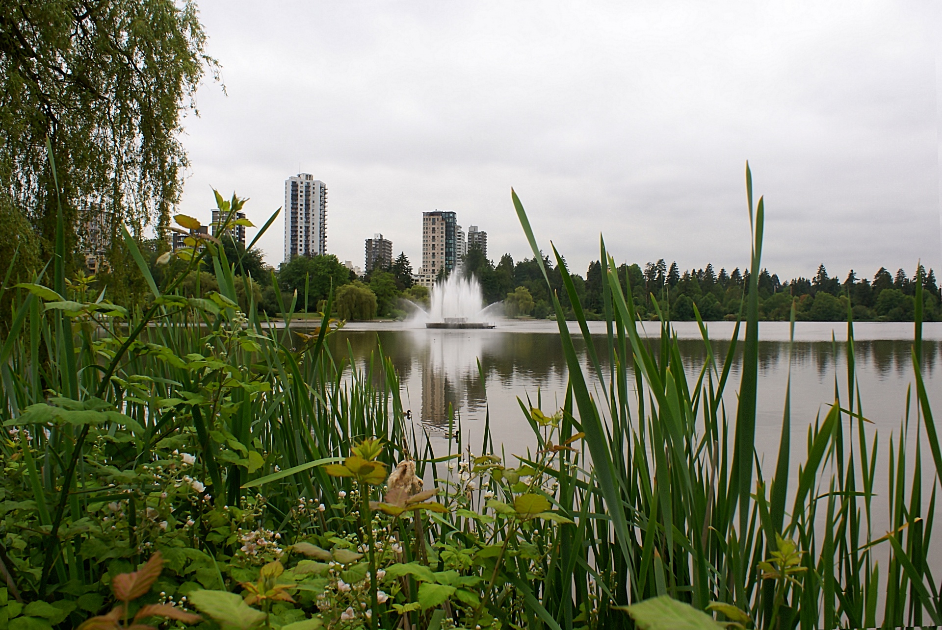 lost-lagoon-stanley-park-vancouver